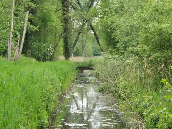 Sculthorpe Moor Nature Reserve